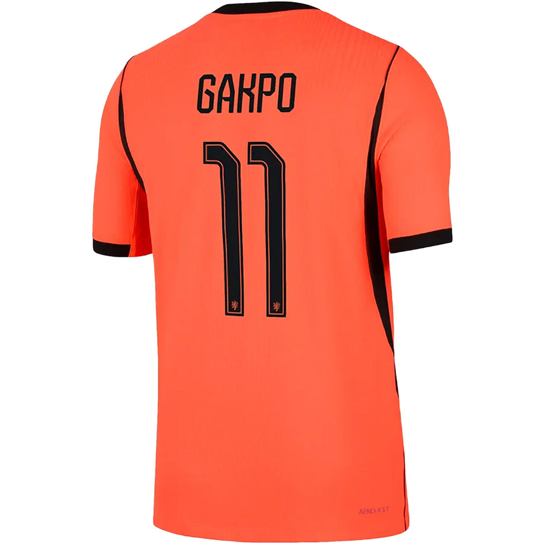 NIEDERLANDE 2026/27 WM