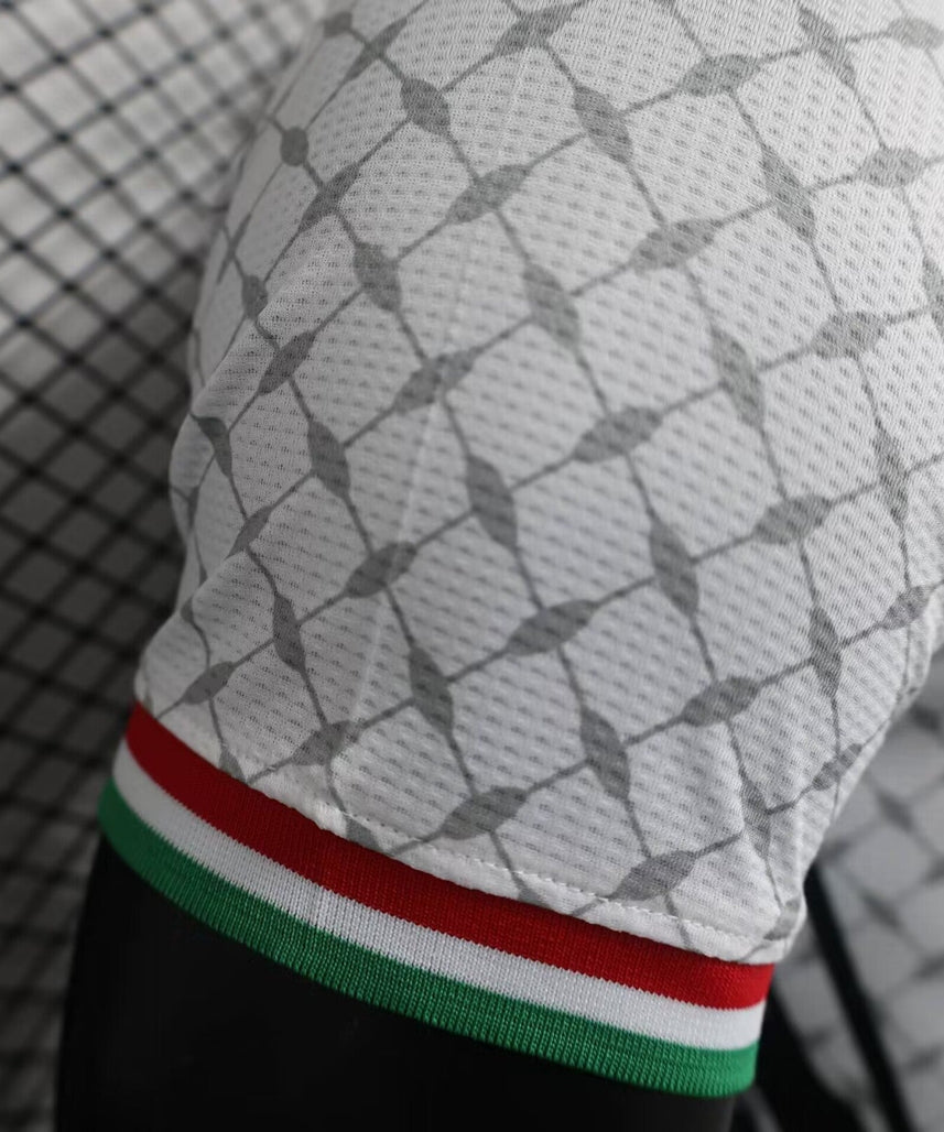 Palestine 24-25 white player version