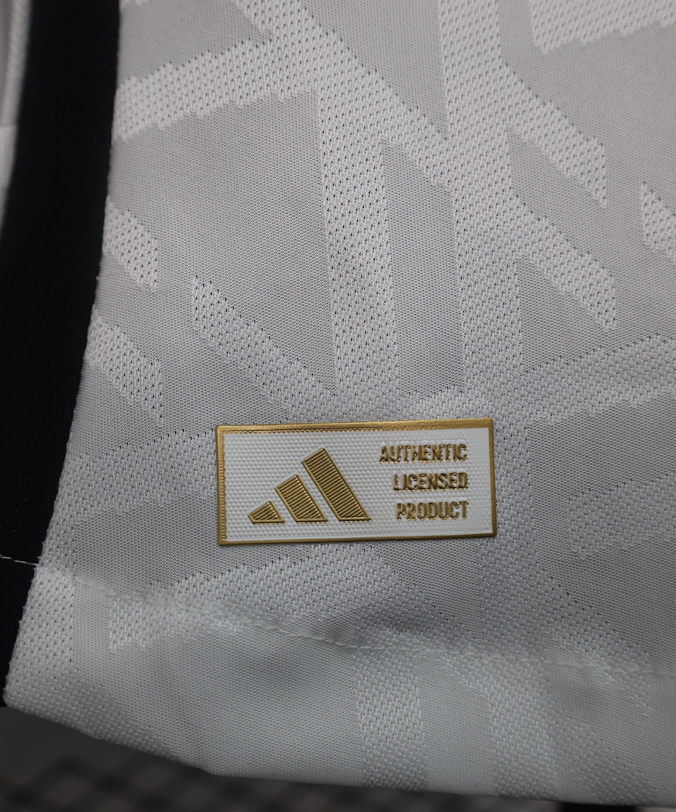 Allemagne Tenue Domicile 2024-2025
