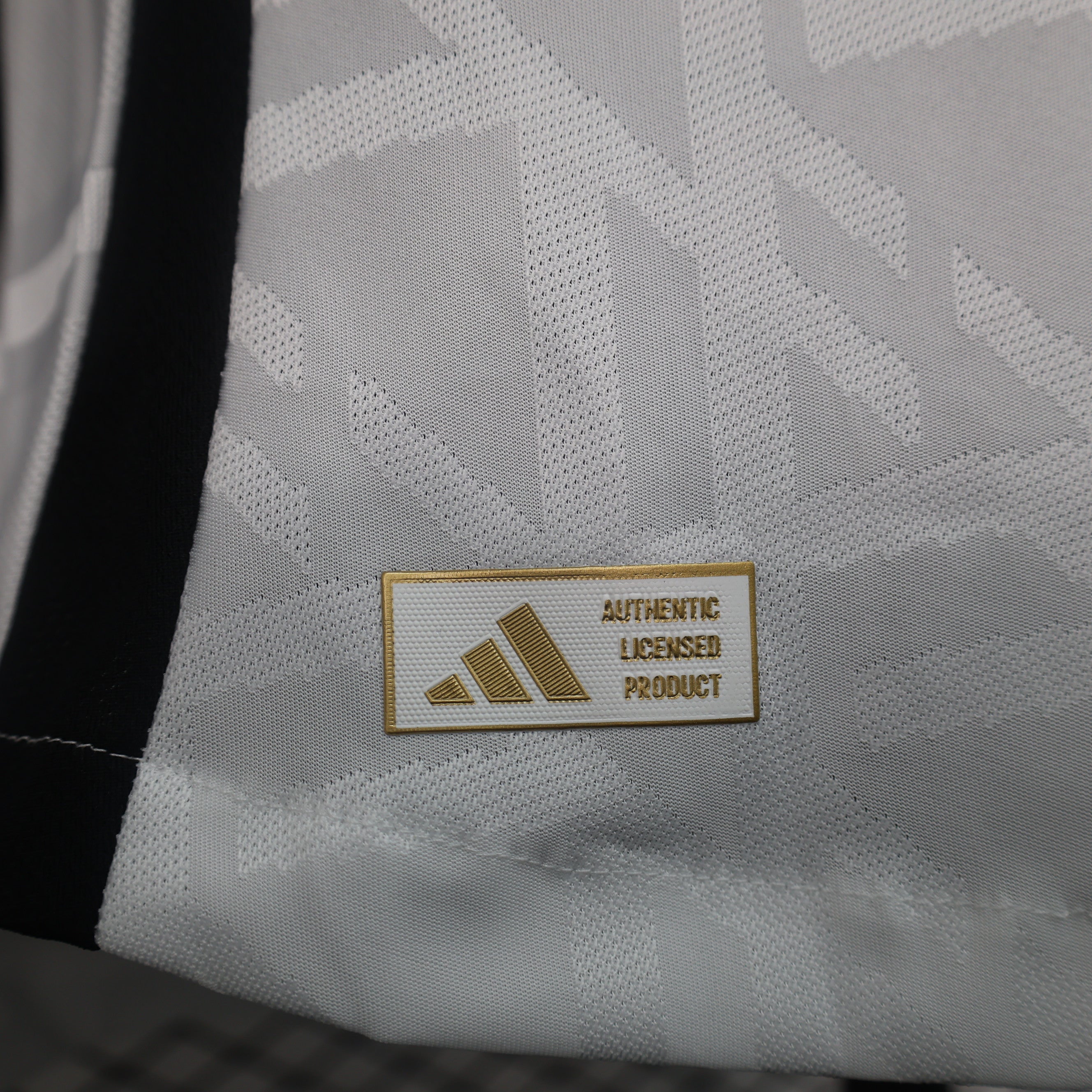 Allemagne Tenue Domicile 2024-2025