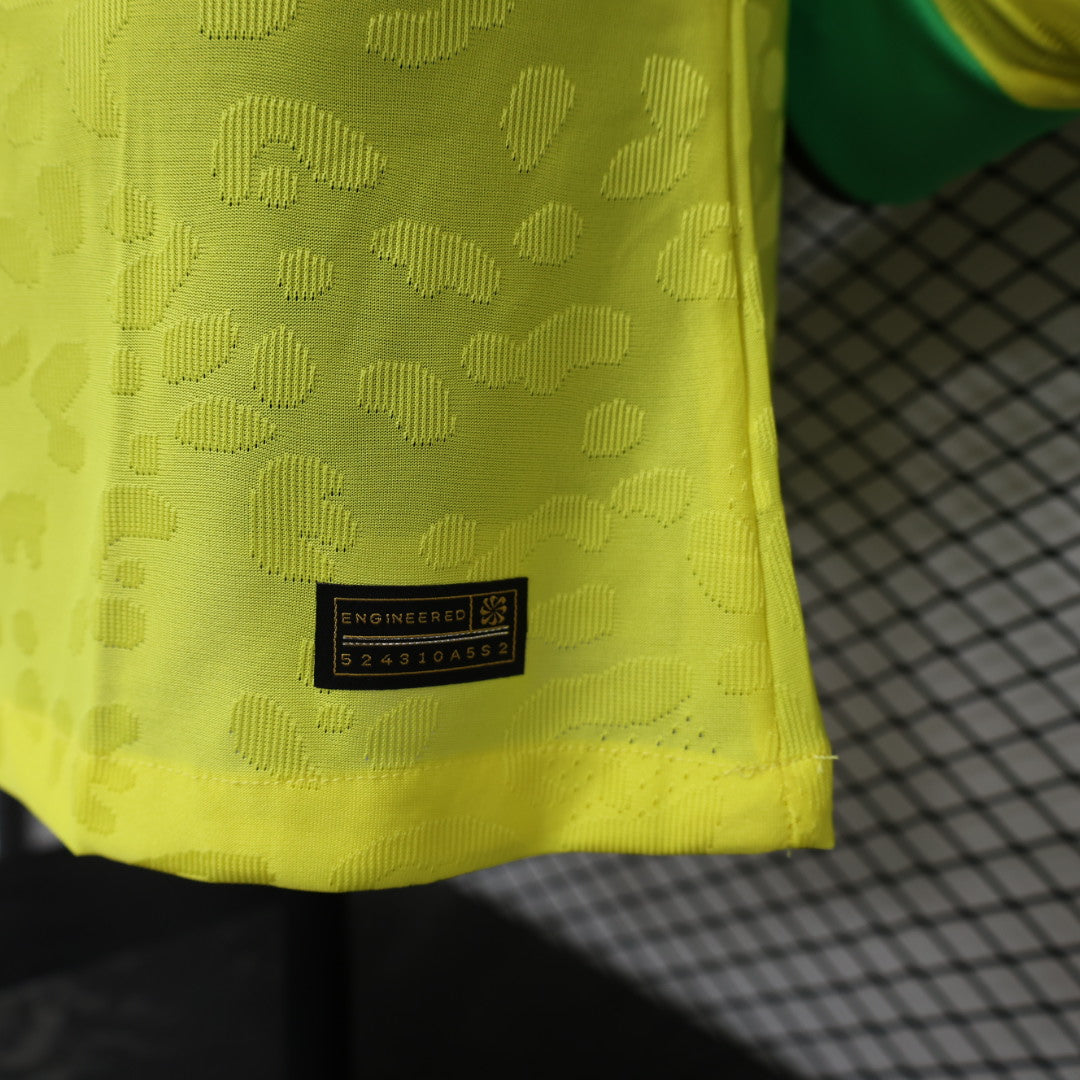 Brasil 2023-2024 Kit Local de Manga Larga
