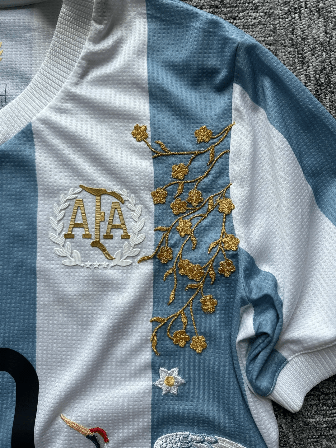 Camiseta Bordada Argentina