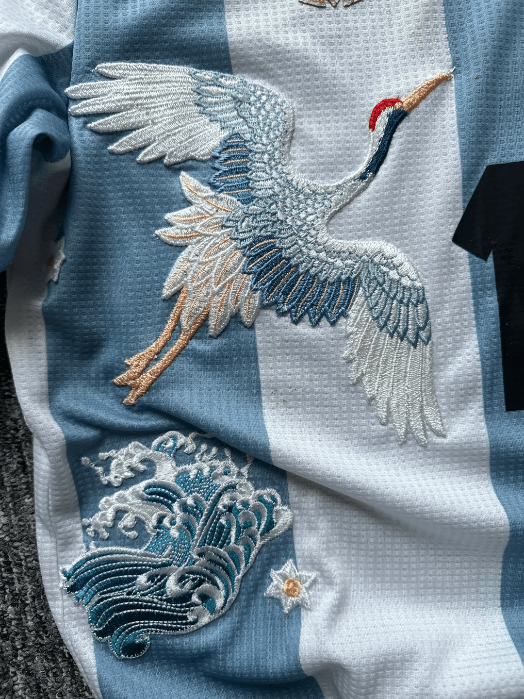 Camiseta Bordada Argentina