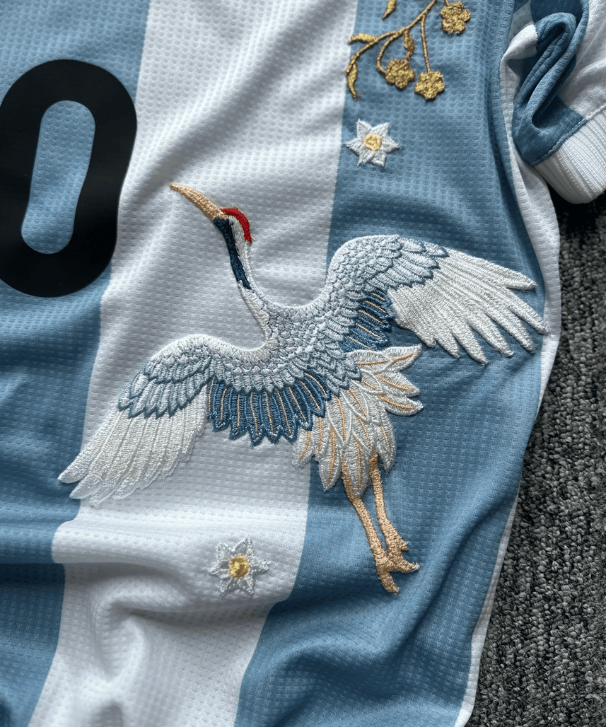 Camiseta Bordada Argentina