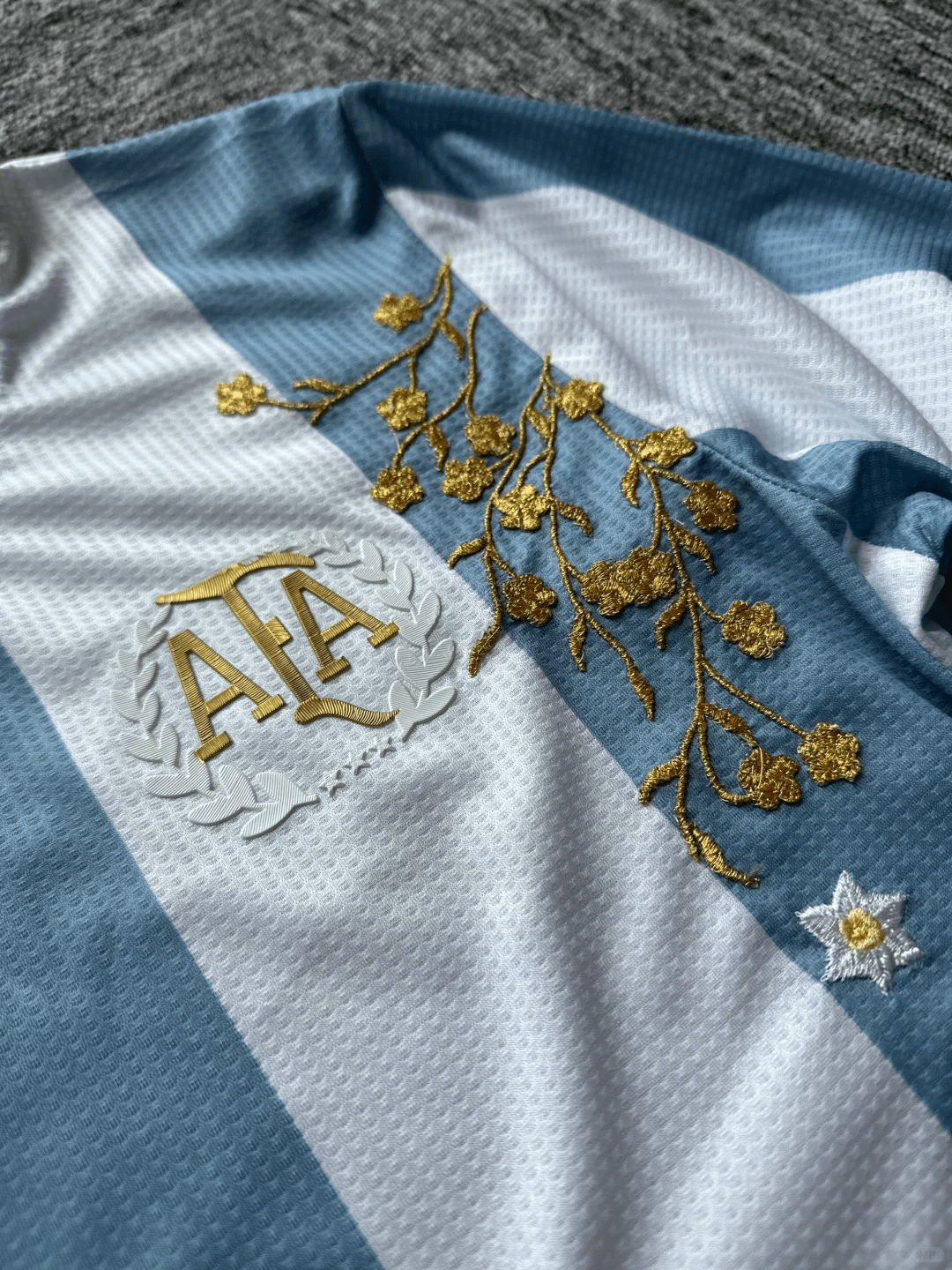 Camiseta Bordada Argentina