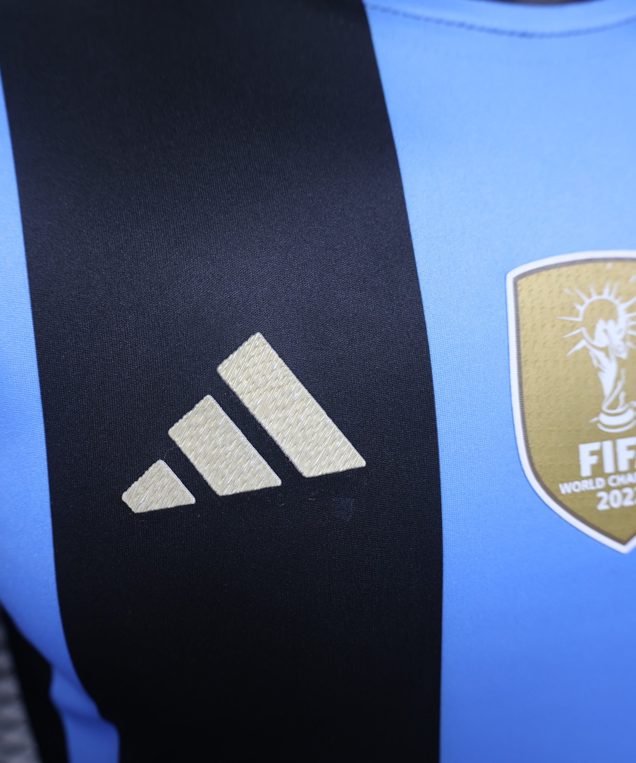 Argentinien „Skyline Glory“ Spezialtrikot