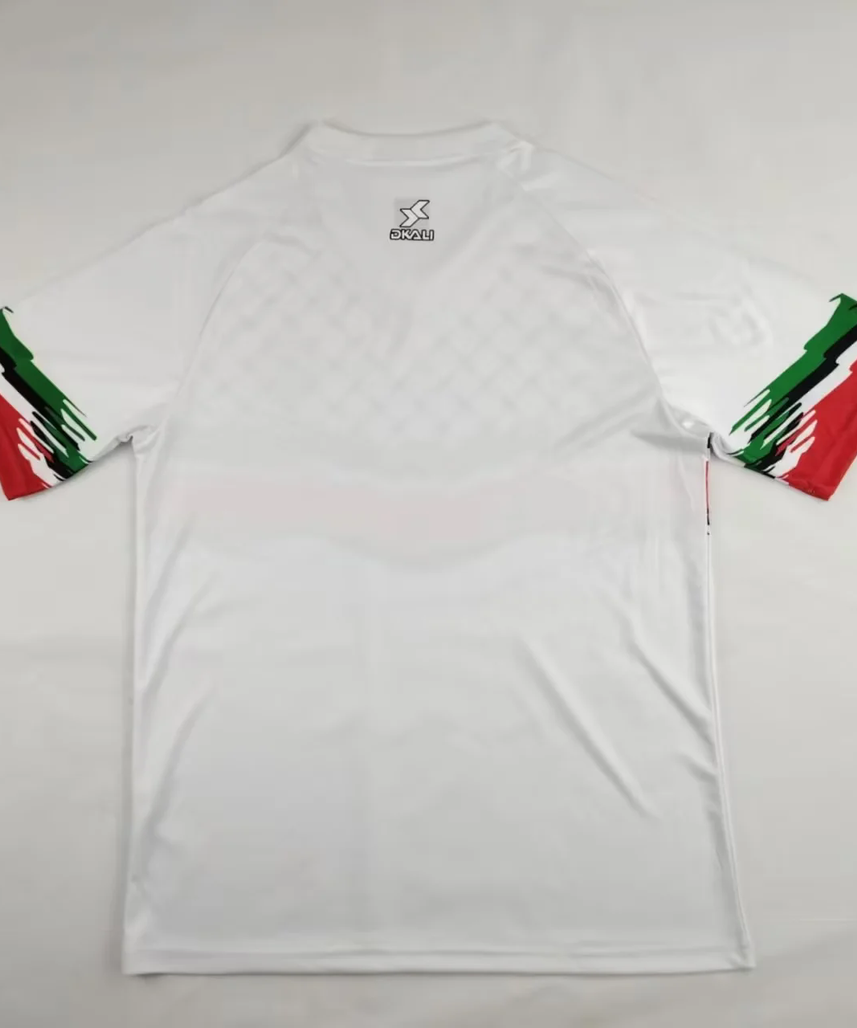Palestine "KUFIYA 2" Specail kit Malgane