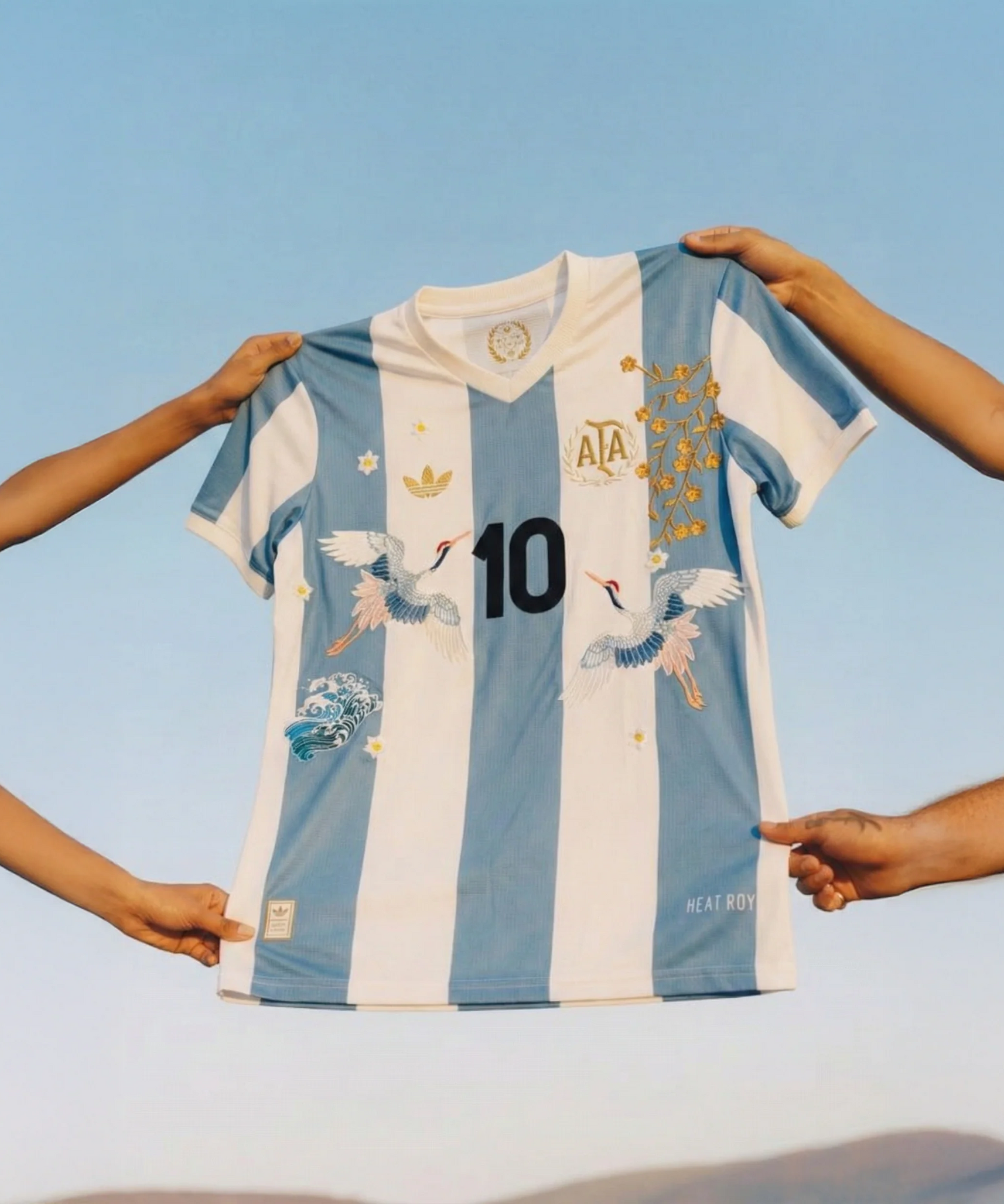 Camiseta Bordada Argentina