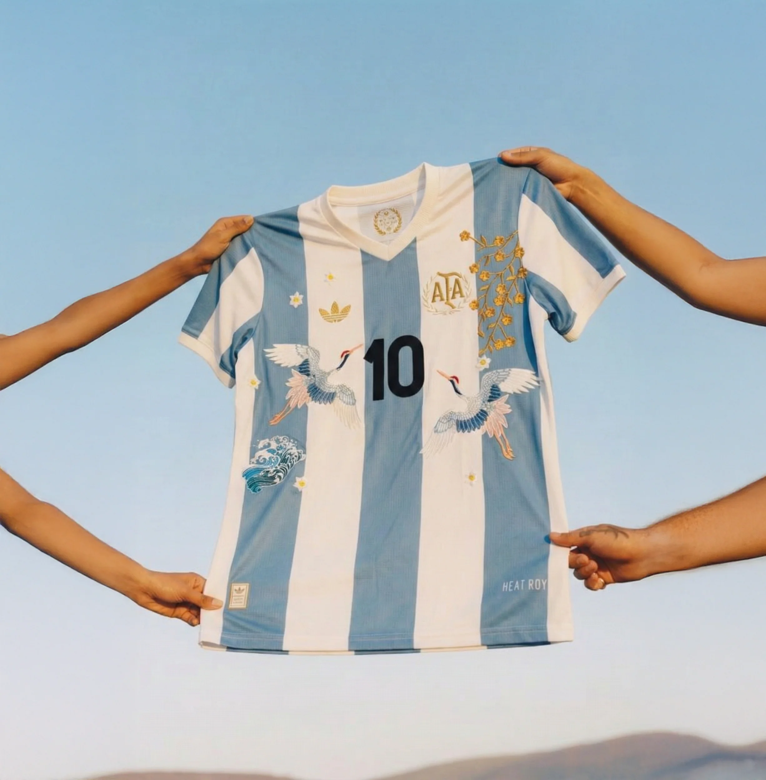 Camiseta Bordada Argentina